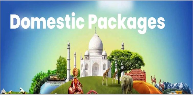Domestic Tour Package