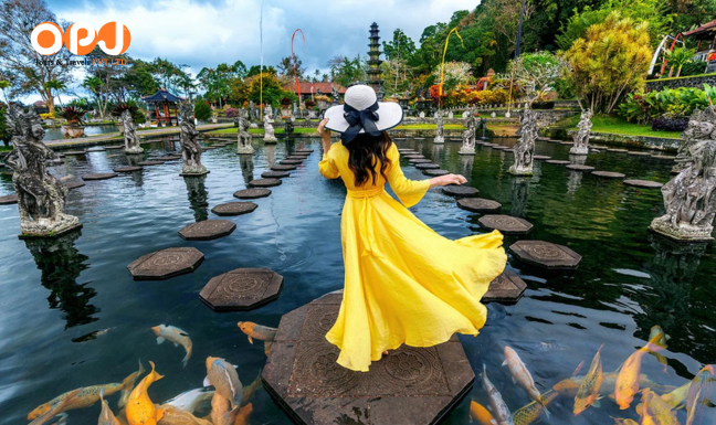 Explore Singapore With Bali